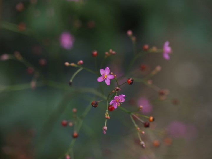 P7126063