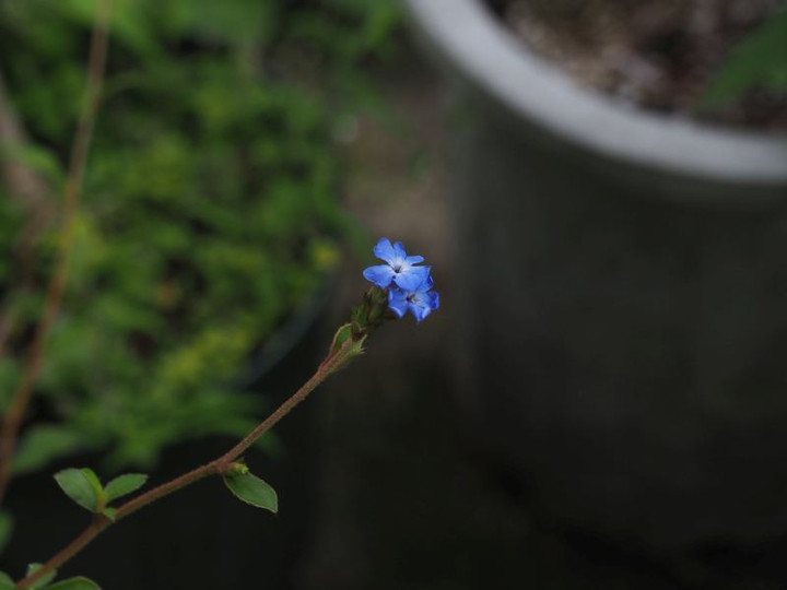 P7126070