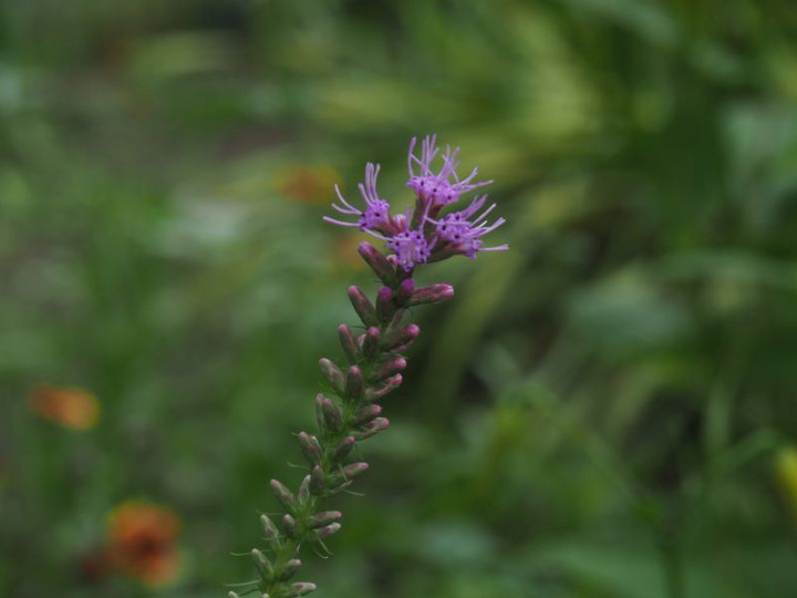P7126071