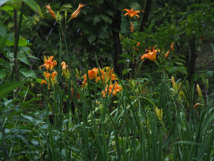 P7136079