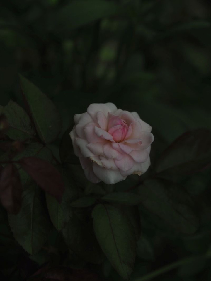 P7156105