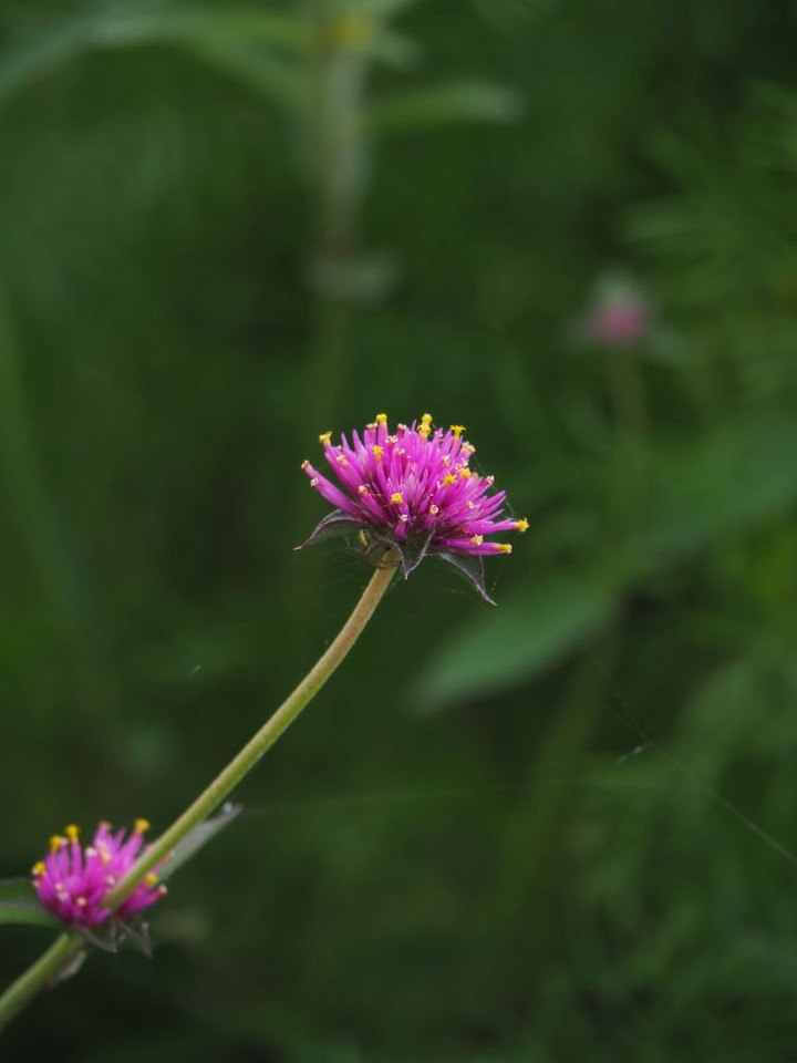 P7156129