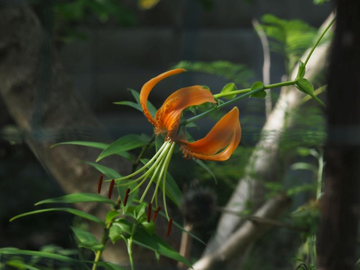 P7166145