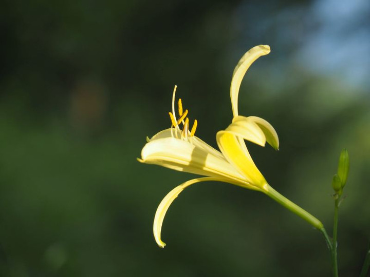 P7166176yuusuge