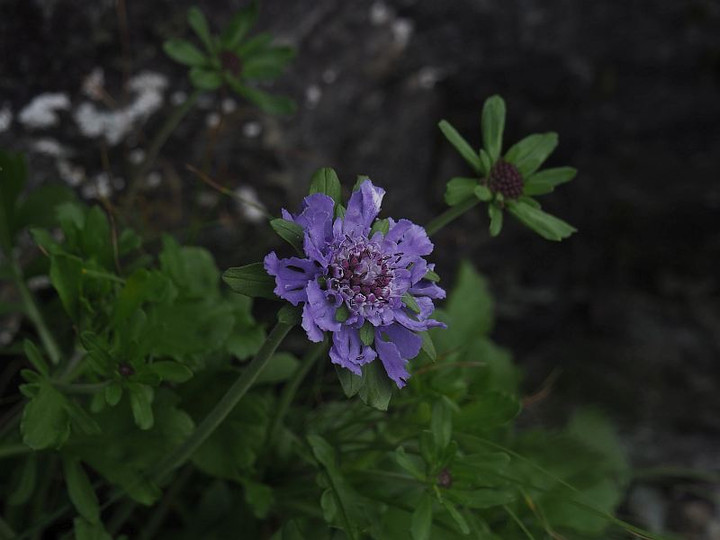 P7176436