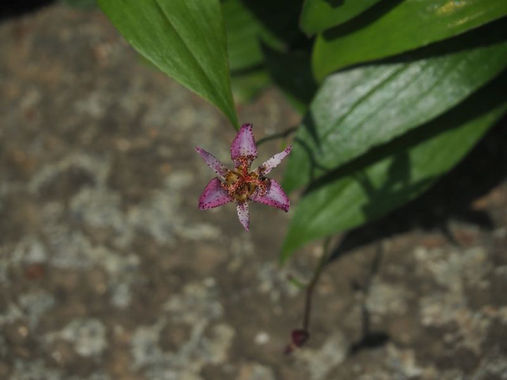 P7186678