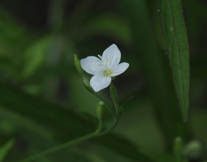 P7186692