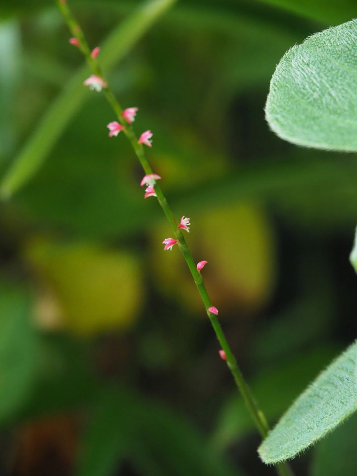 P7186696
