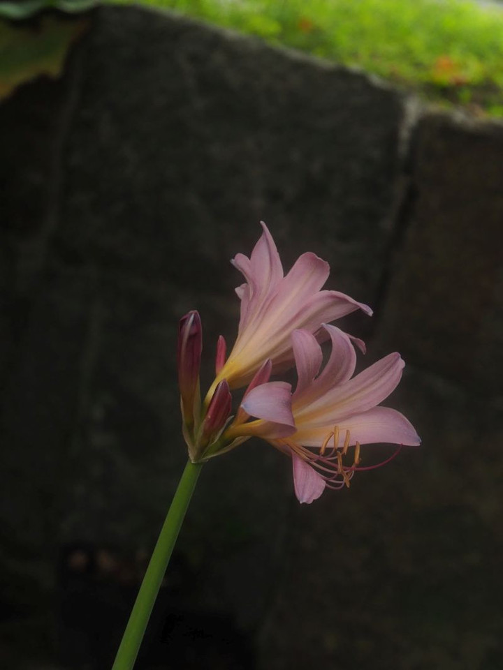 P7237086_2