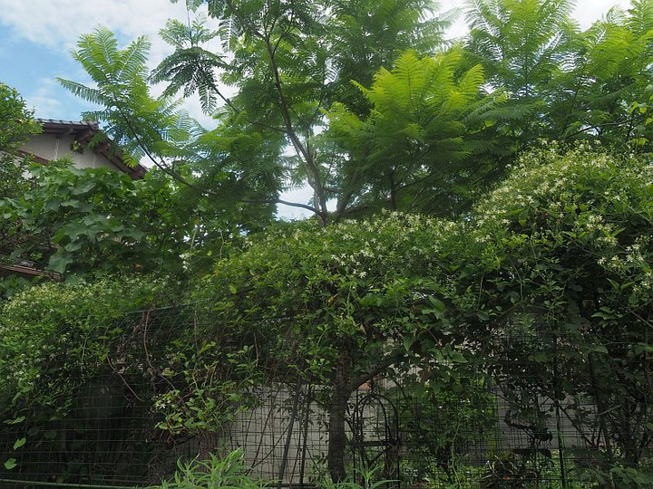 P7297221