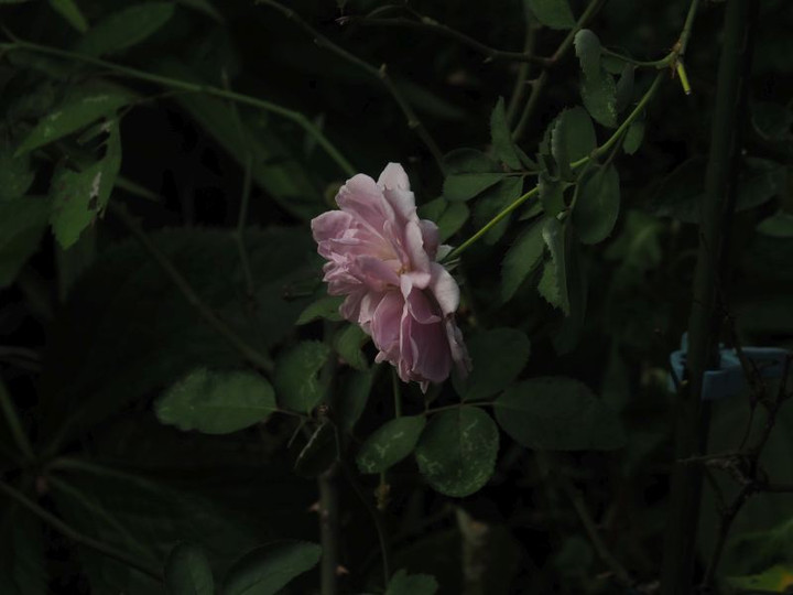 P8057653