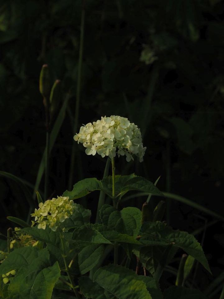 P8057678