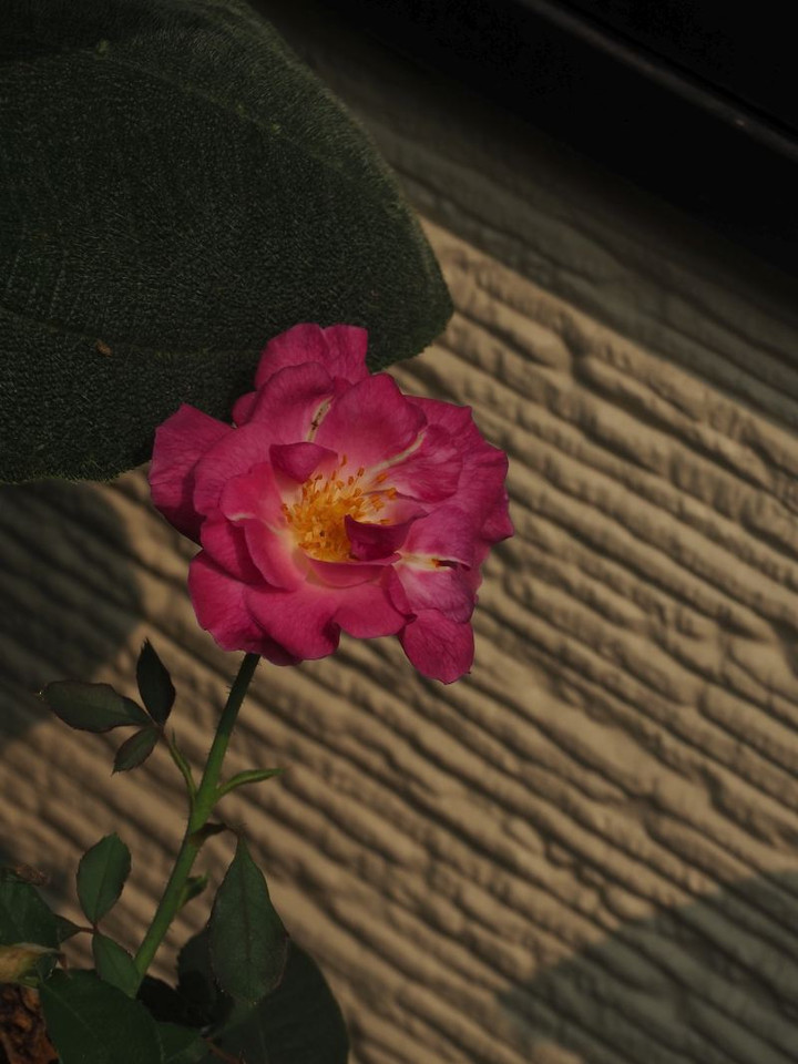 P8077714