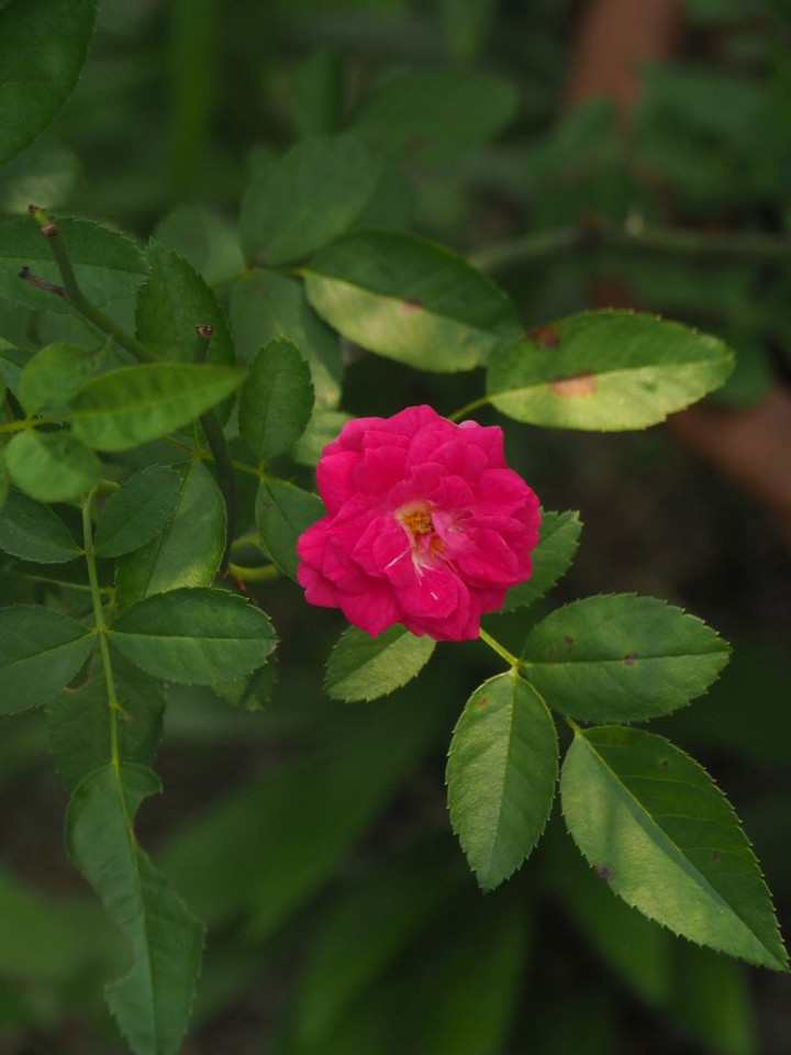 P8077721