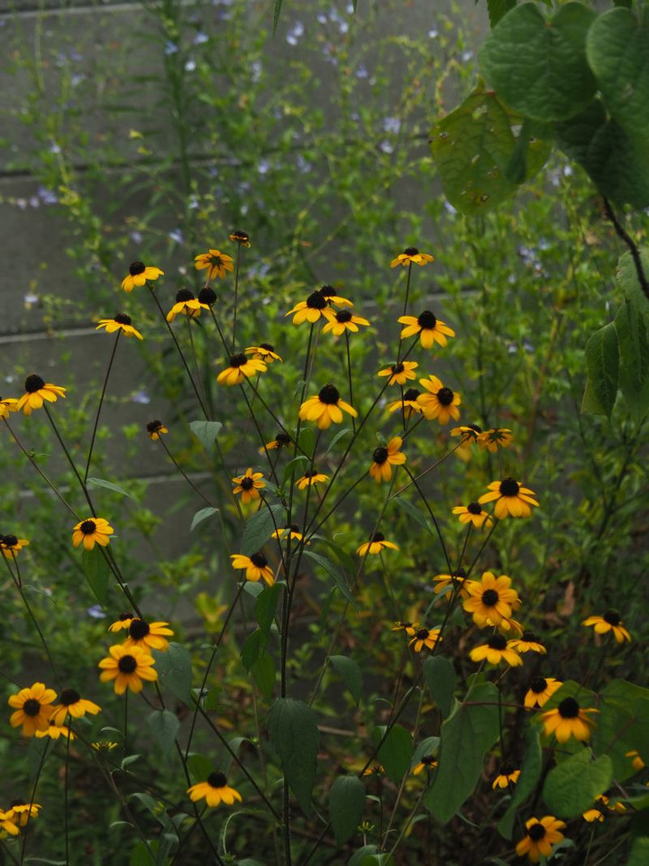 P8108220