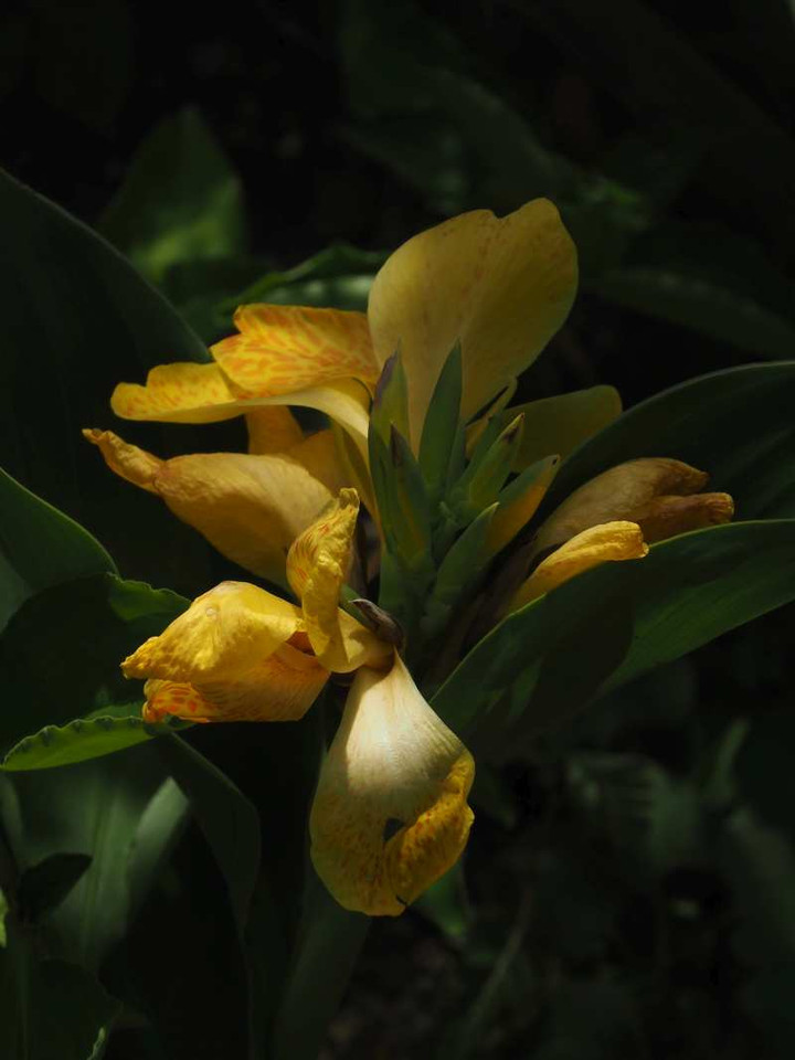P8178322
