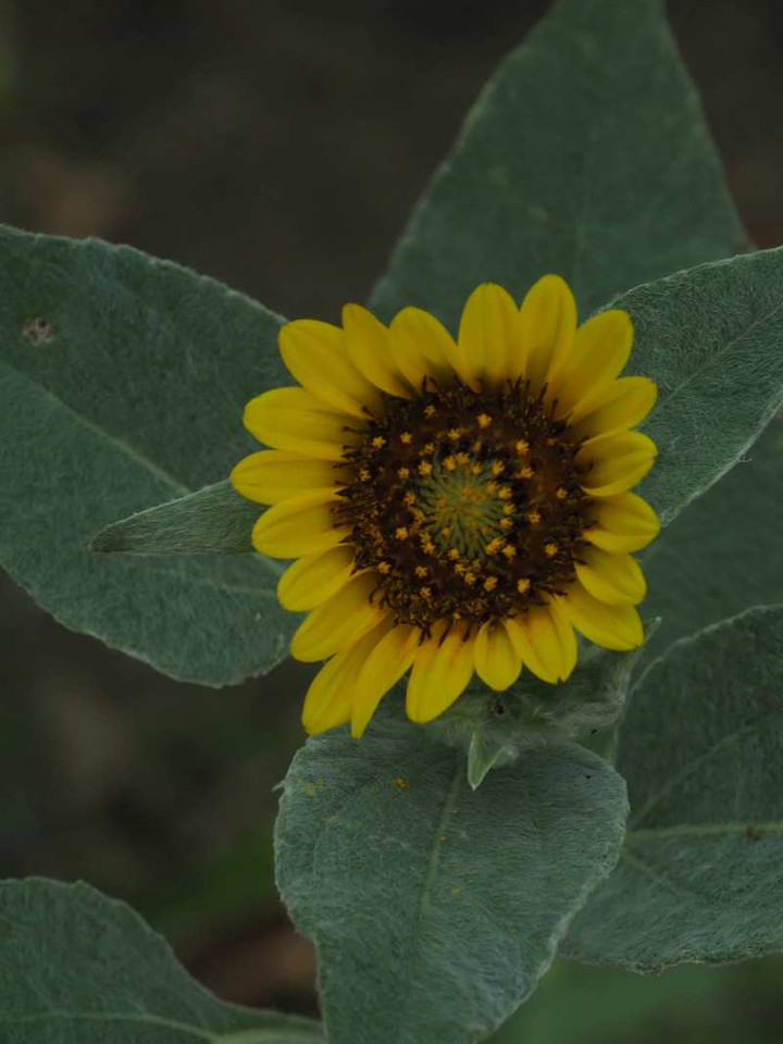 P8198349