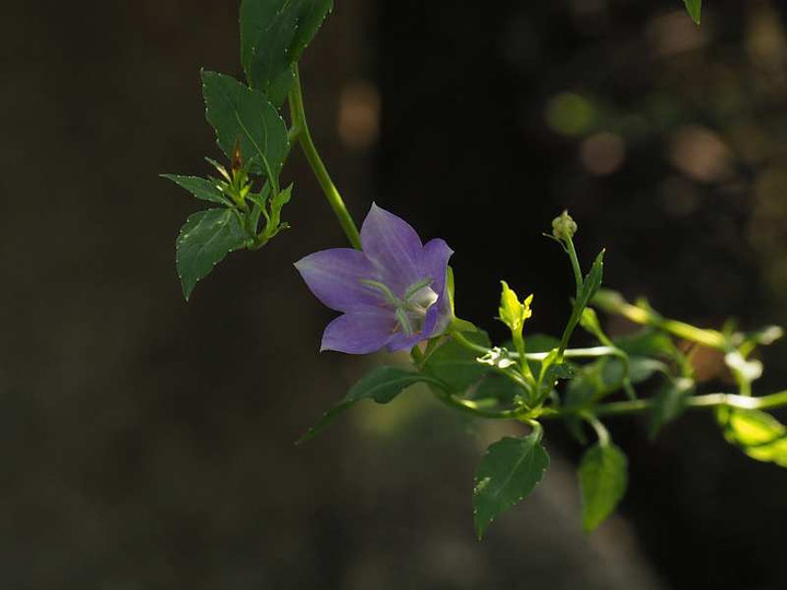 P8208357
