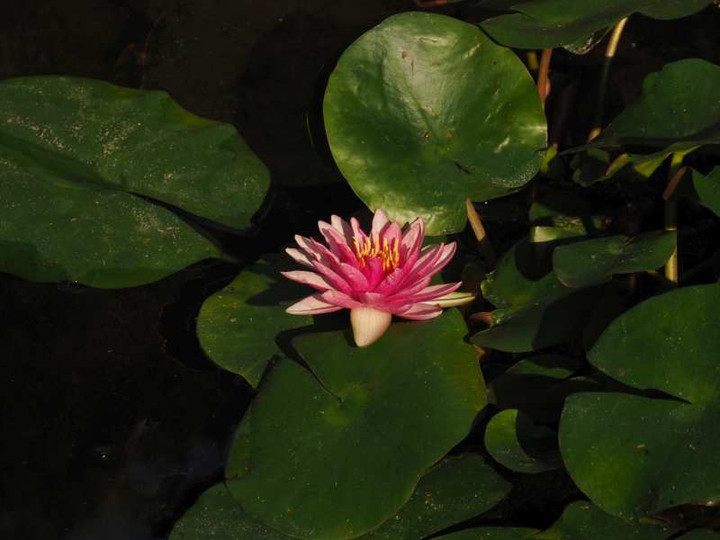 P8208358