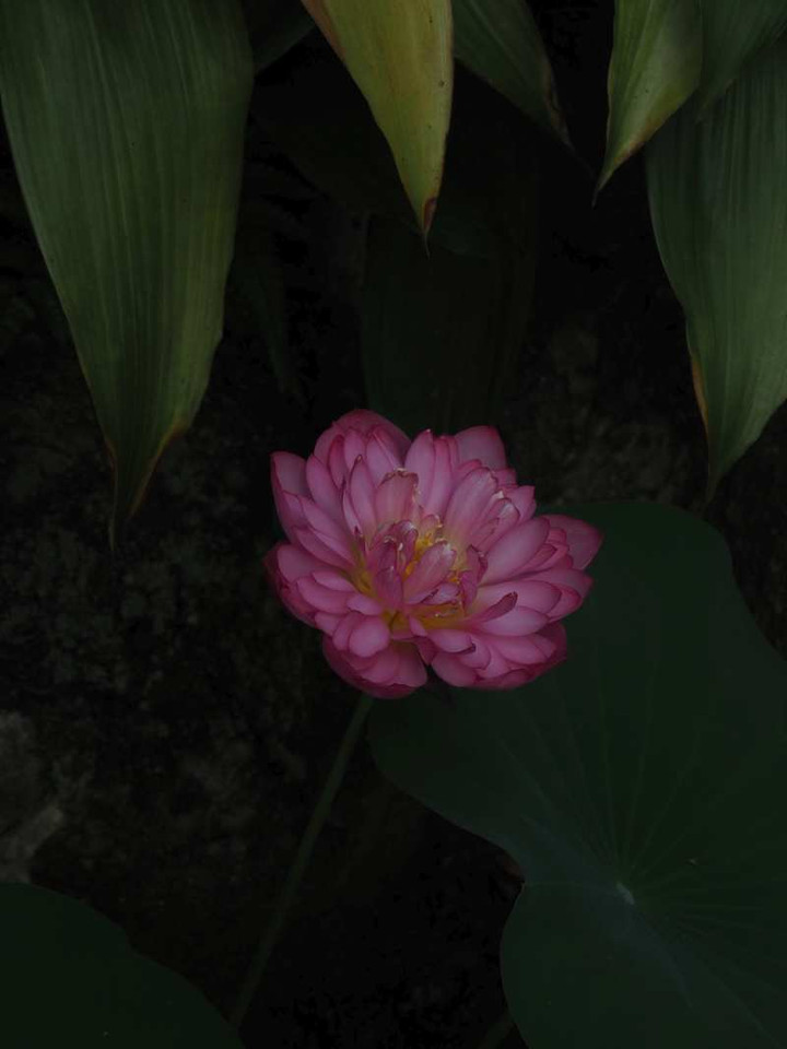 P8208363