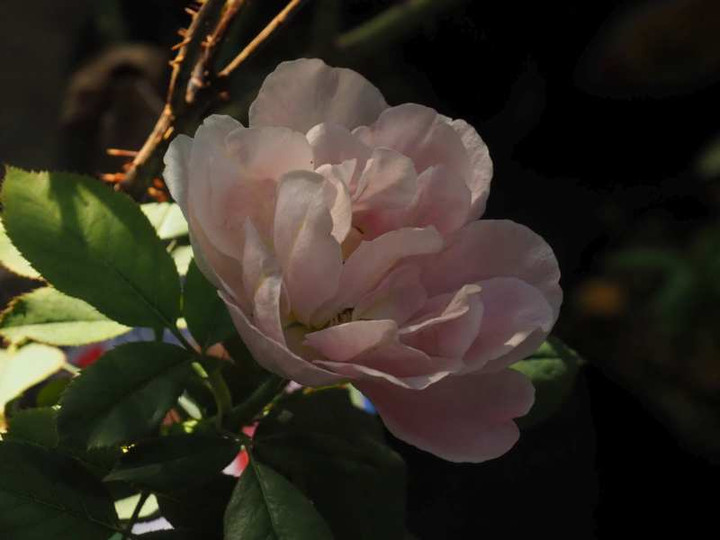 P8208371