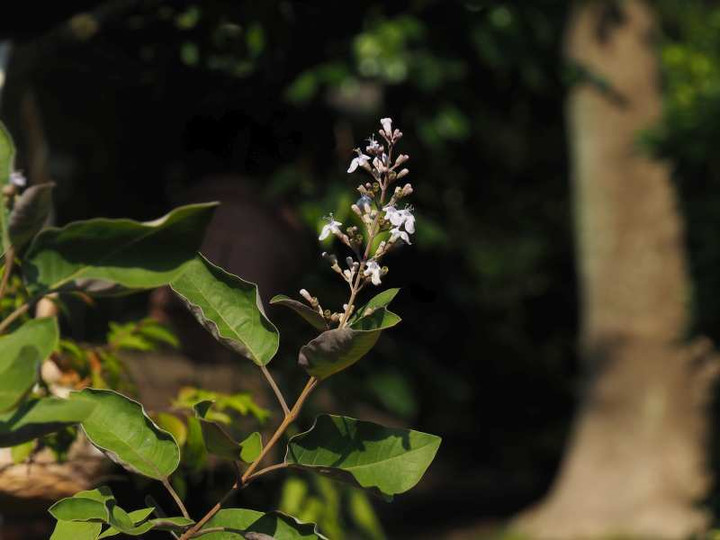 P8218383
