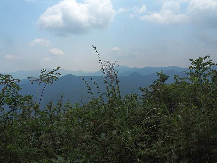 P8238529