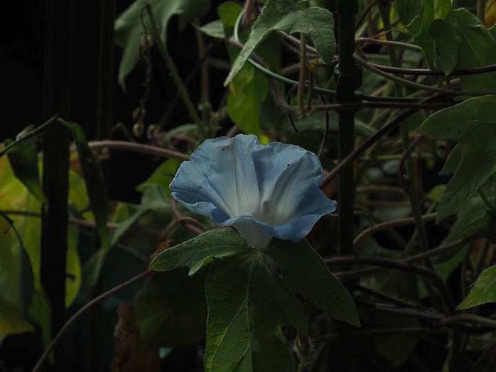 P8248589