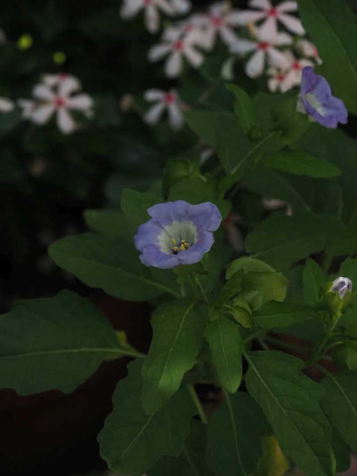 P8318698