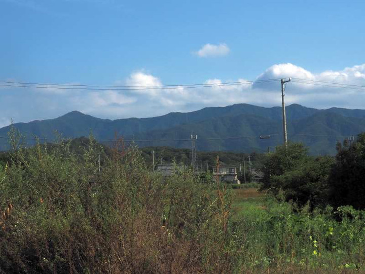 P8318705