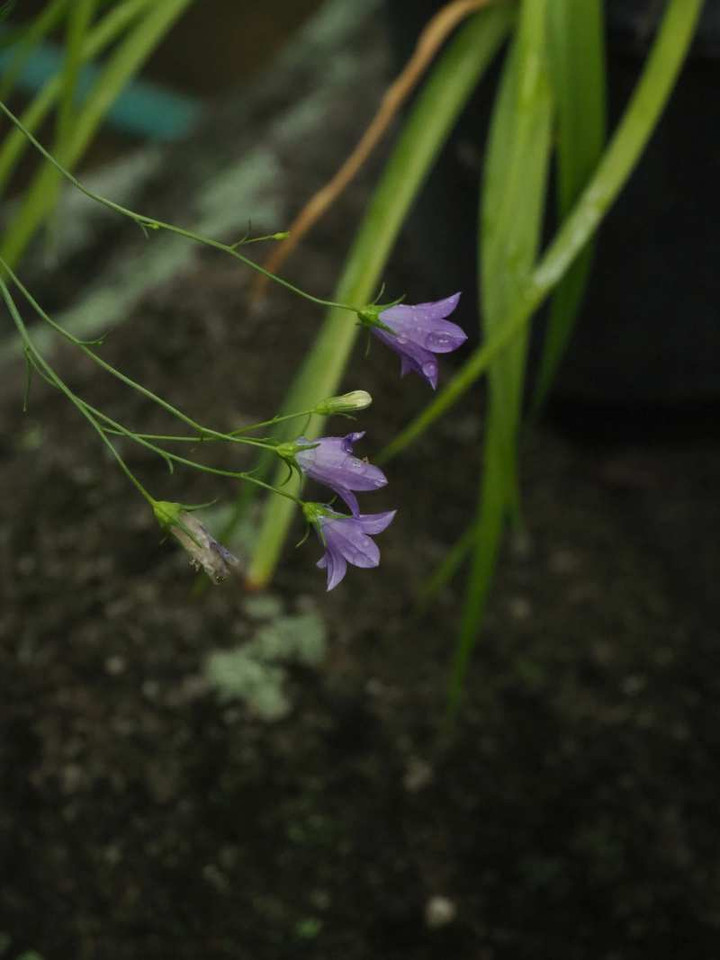 P9018706