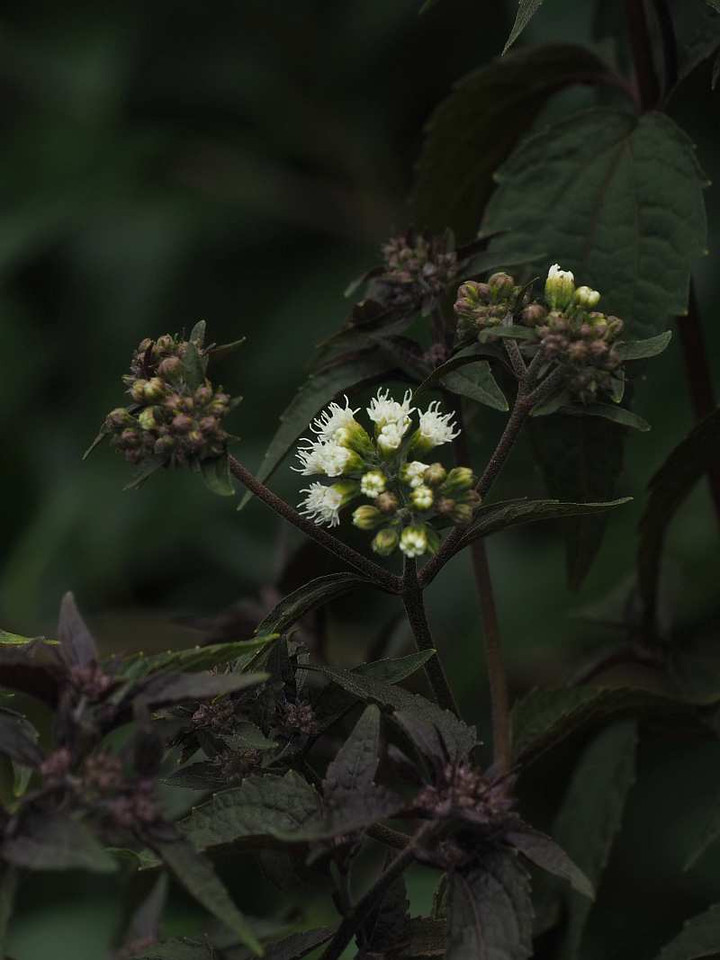 P9028728