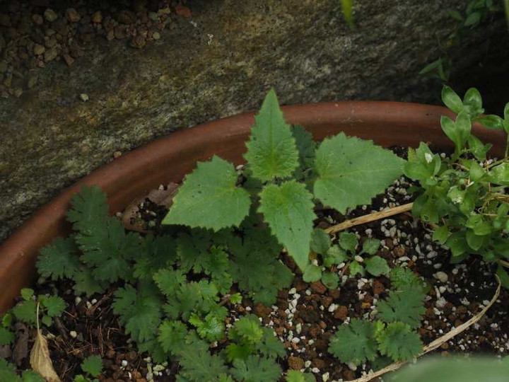 P9028731