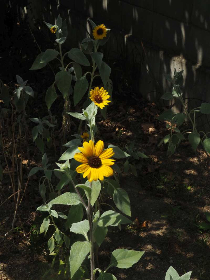 P9058763