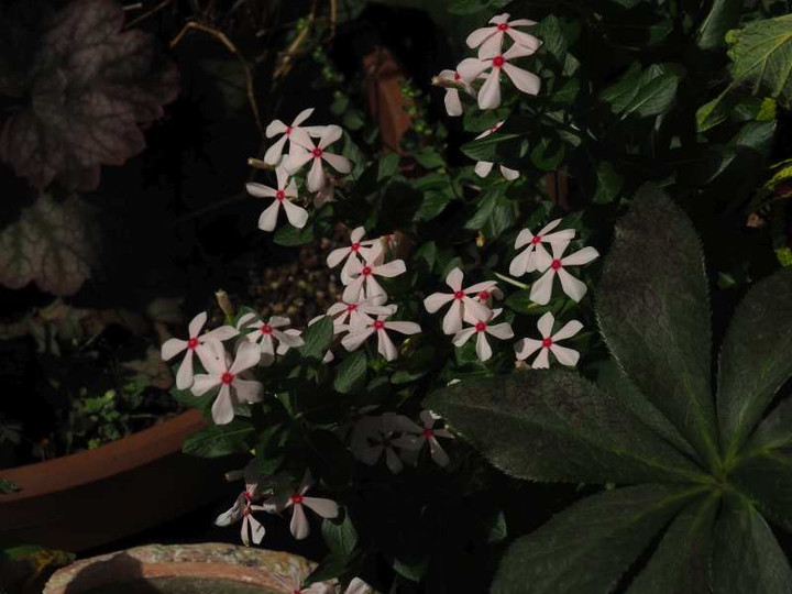 P9068769