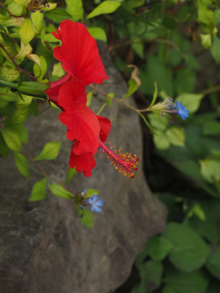 P9068774