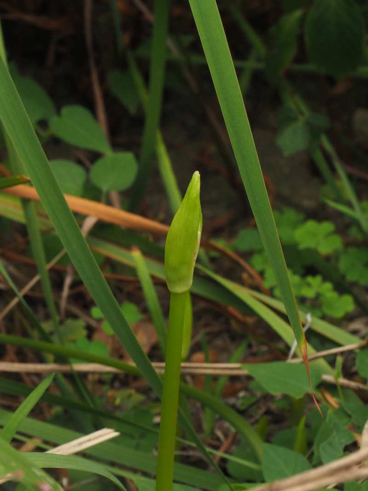 P9208817bm