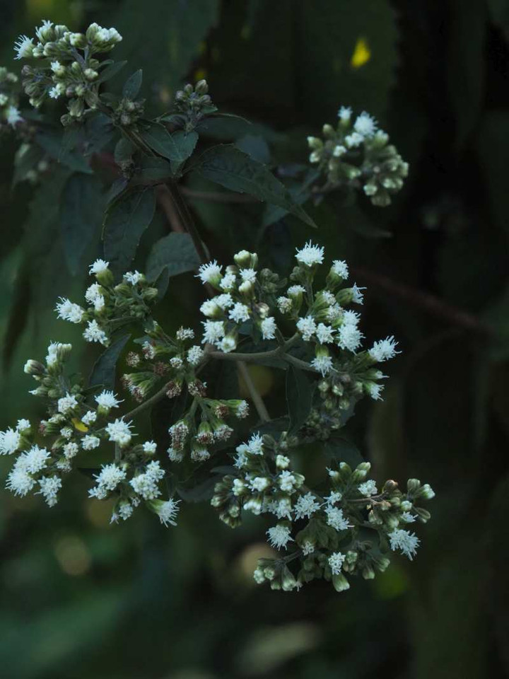 P9218838