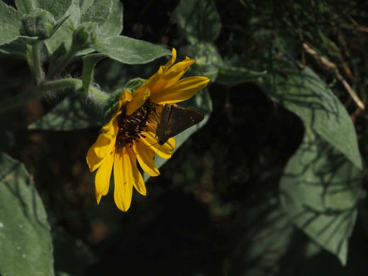 P9218859