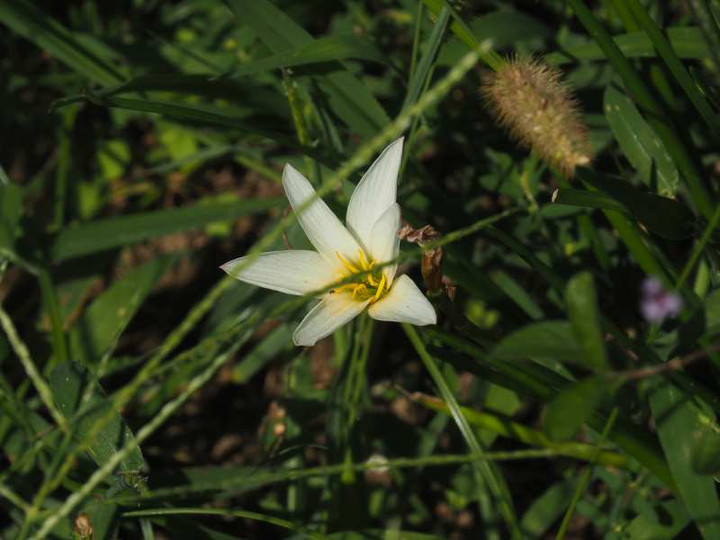 P9218864