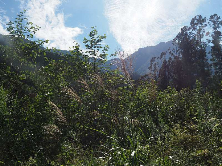 P9228887