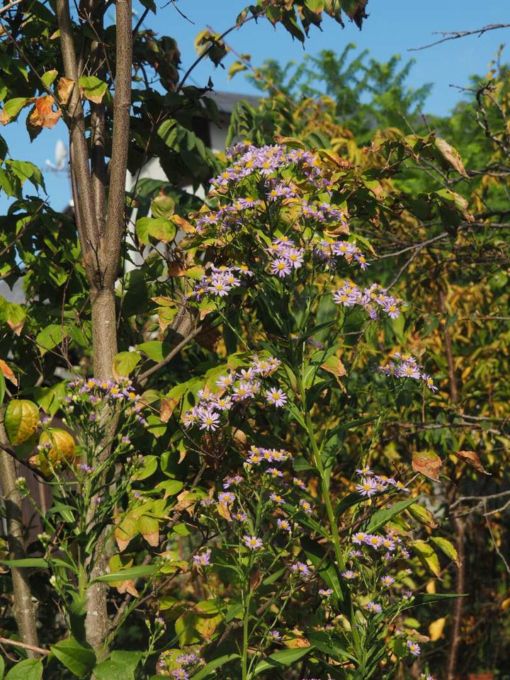 P9238959