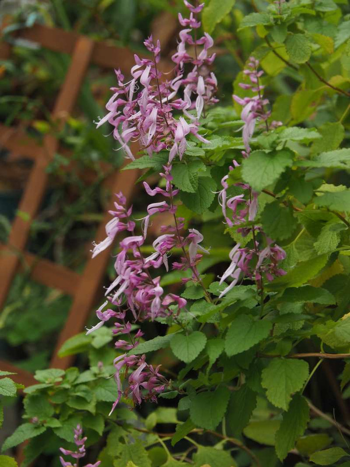P9248970