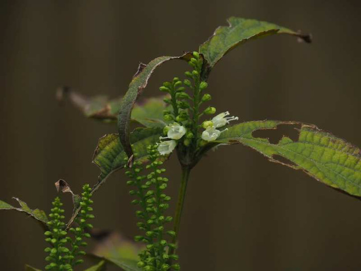 P9248972