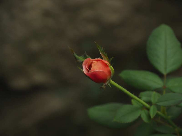 P9248973