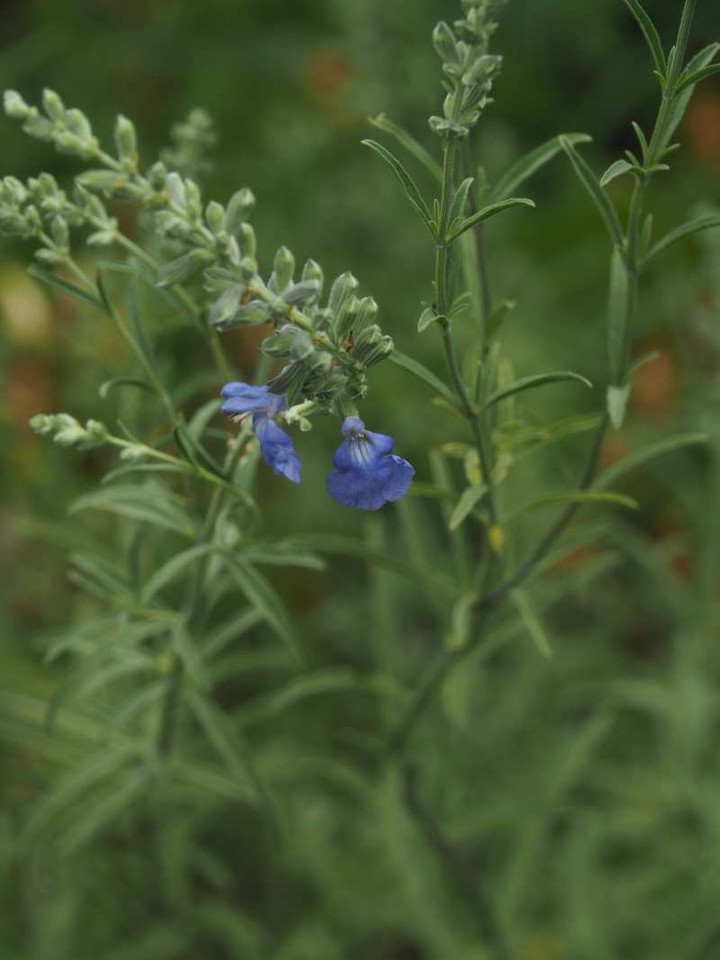 P9248978r