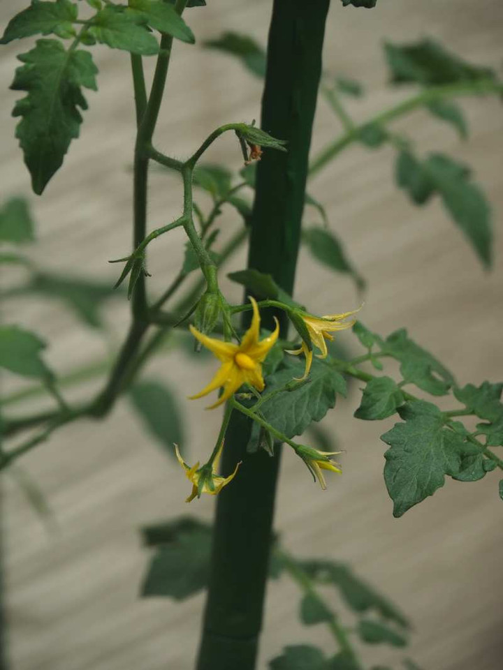 P9259023