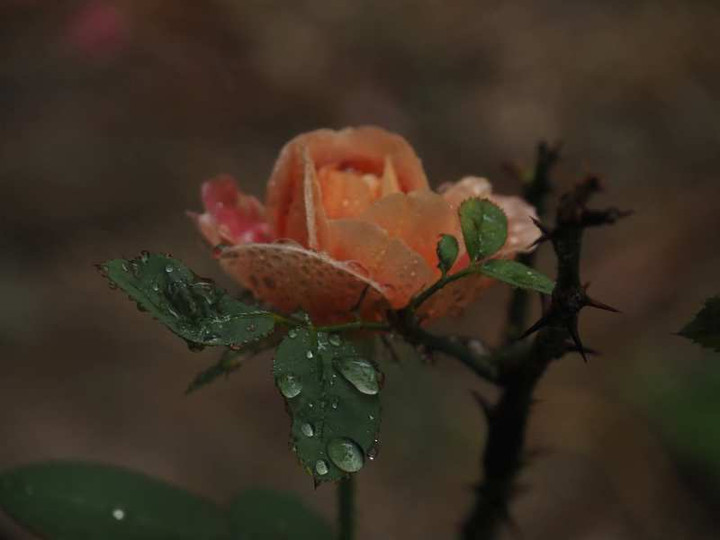 P9259025