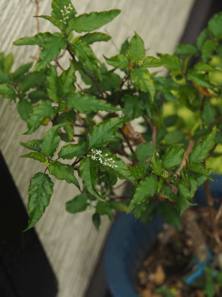 P9269040