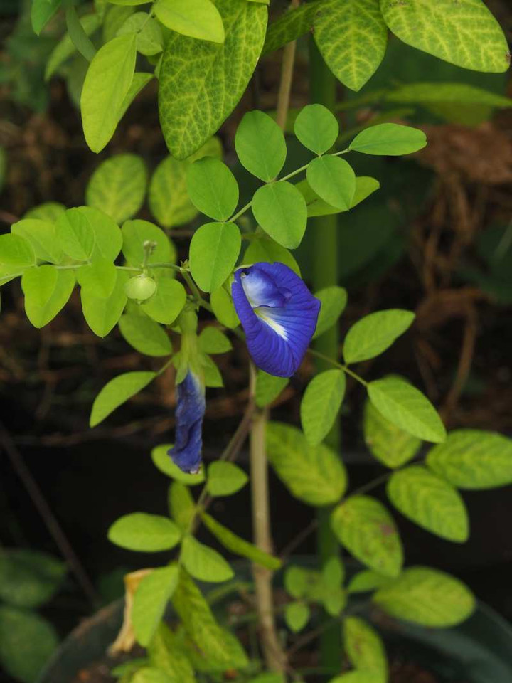 P9269046